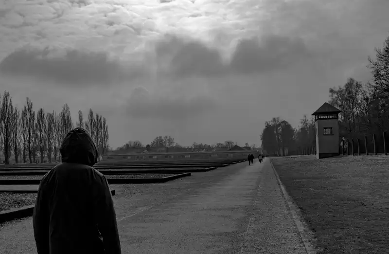 © Andrea Bortolotti