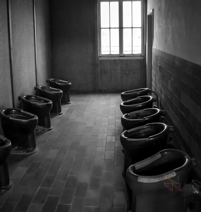 © Andrea Bortolotti