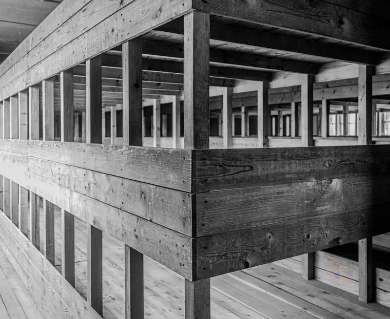 © Andrea Bortolotti