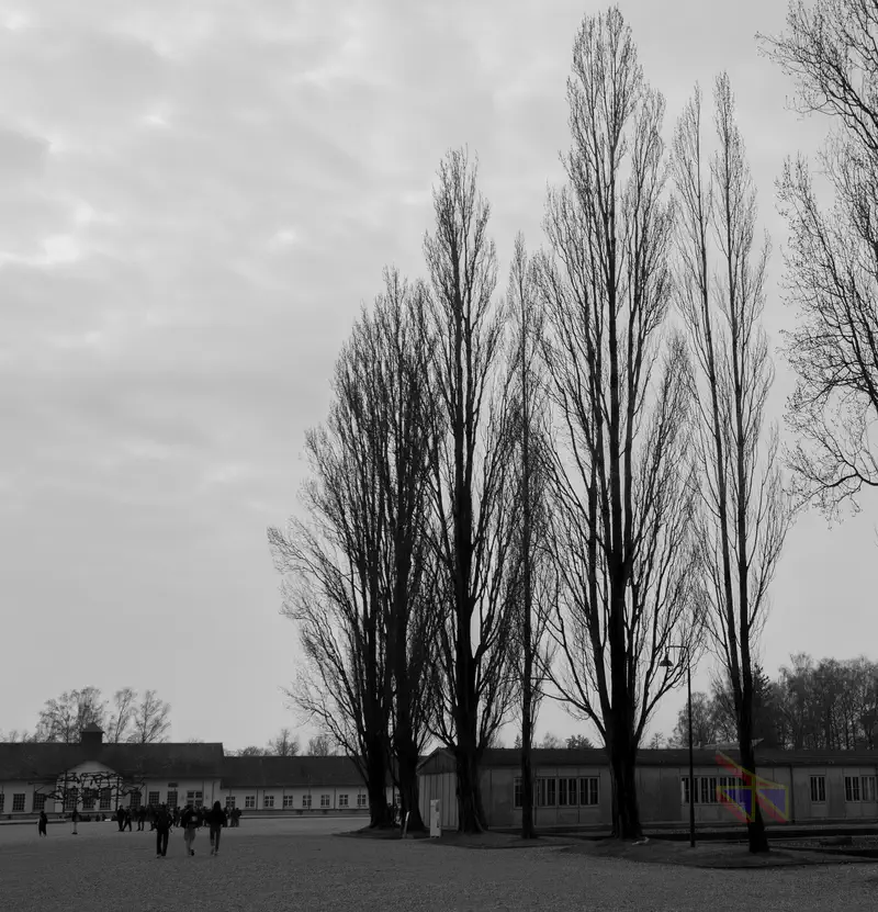 © Andrea Bortolotti