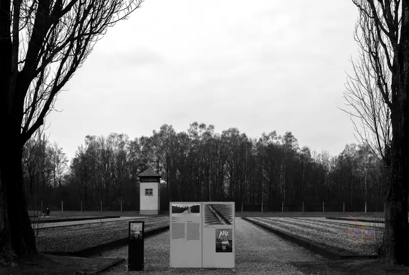 © Andrea Bortolotti