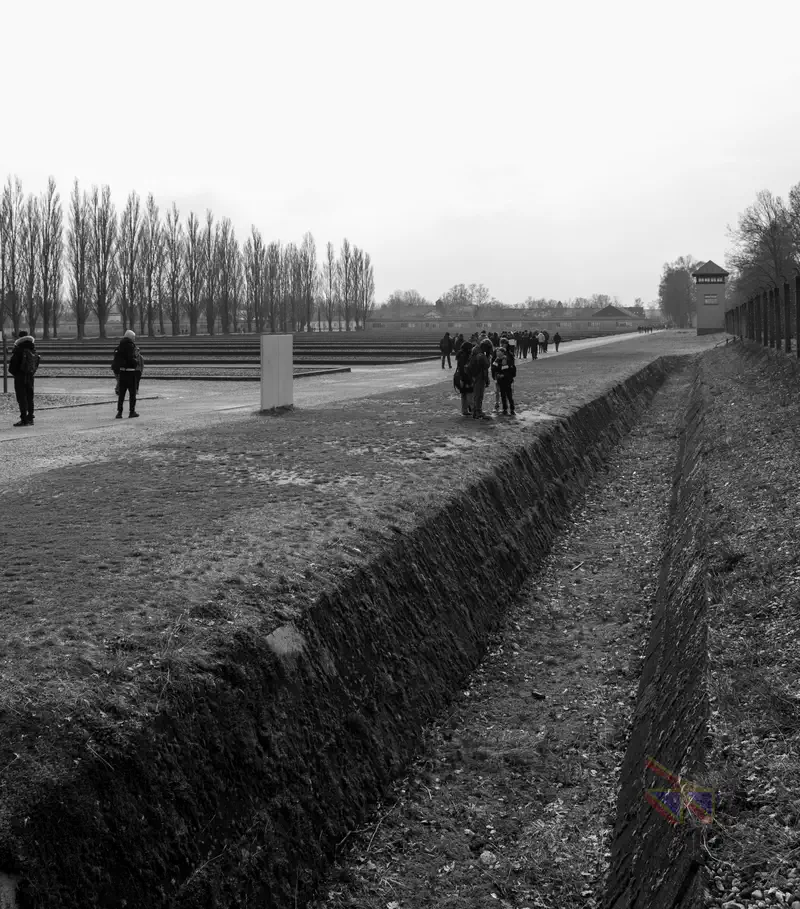 © Andrea Bortolotti