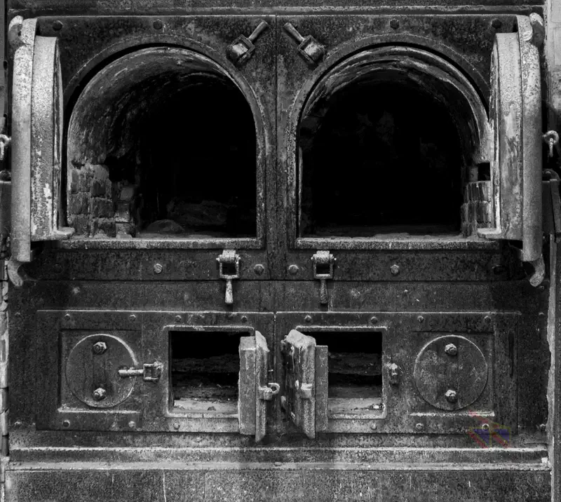 © Andrea Bortolotti