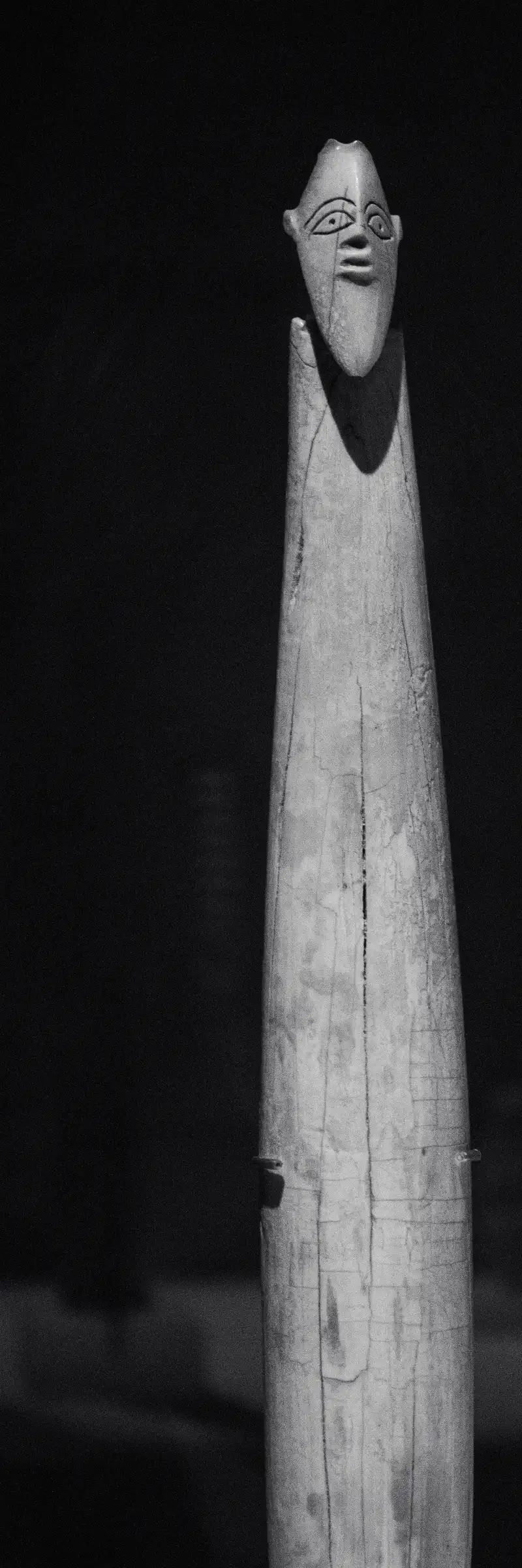 © Andrea Bortolotti