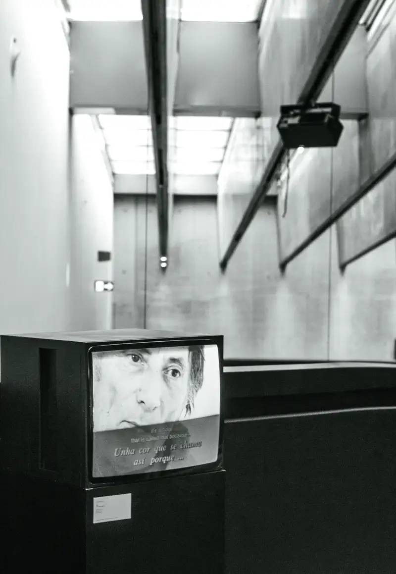 © Andrea Bortolotti