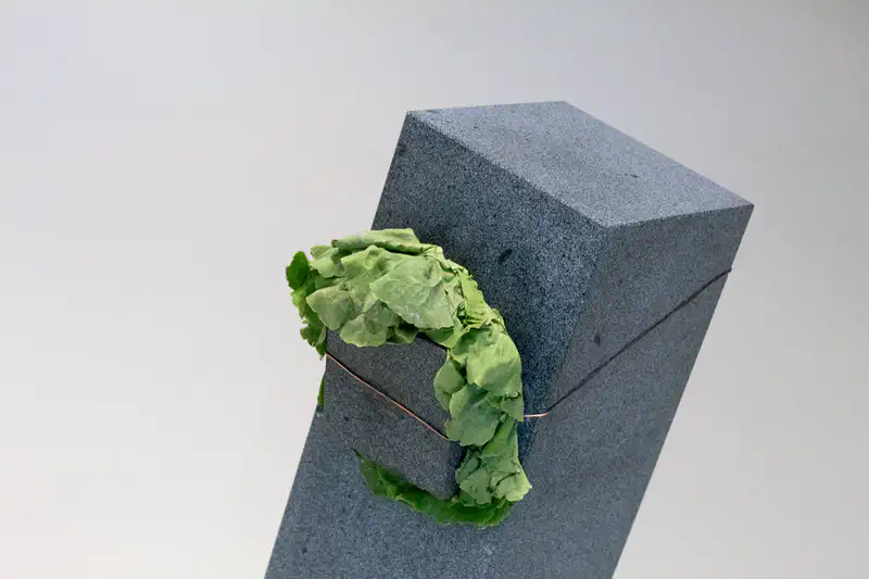 © Andrea Bortolotti