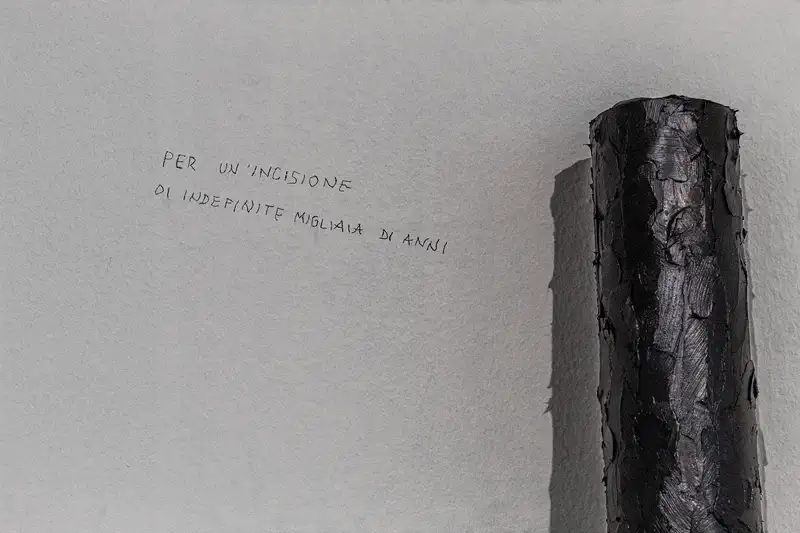 © Andrea Bortolotti