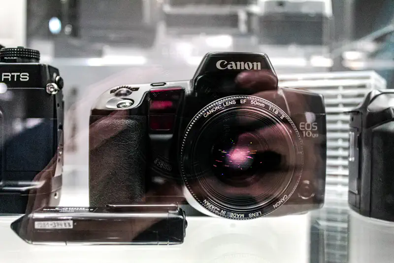 © Andrea Bortolotti