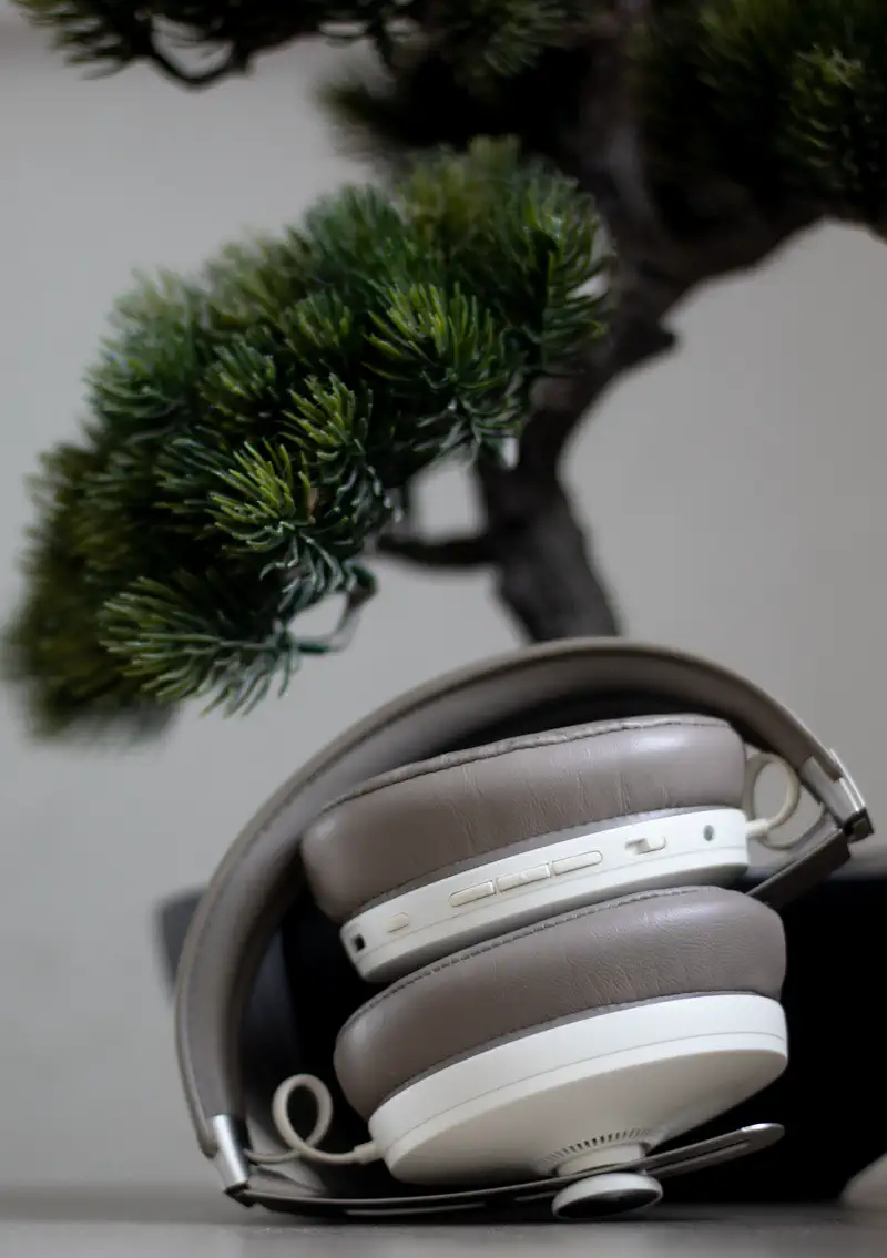 © Andrea Bortolotti