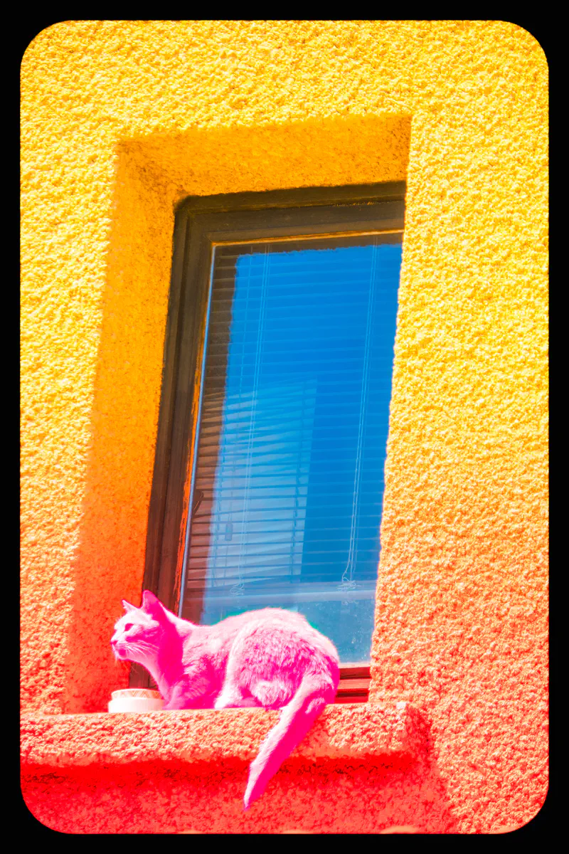 © Andrea Bortolotti