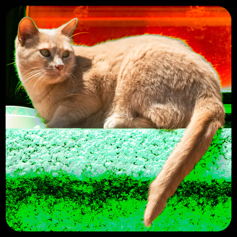 © Andrea Bortolotti