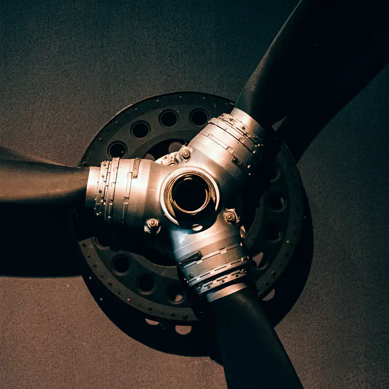 © Andrea Bortolotti