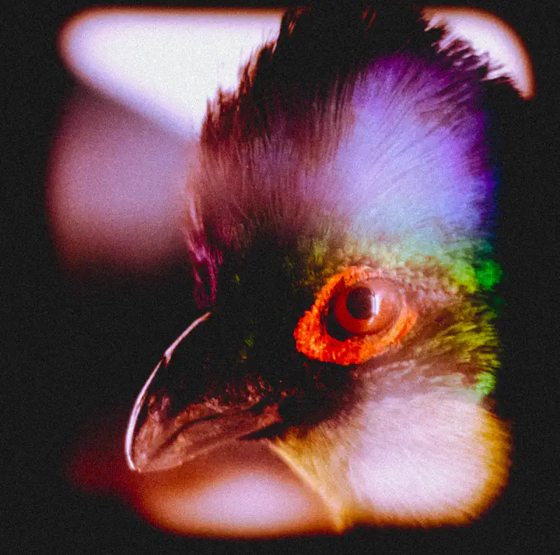 © Andrea Bortolotti