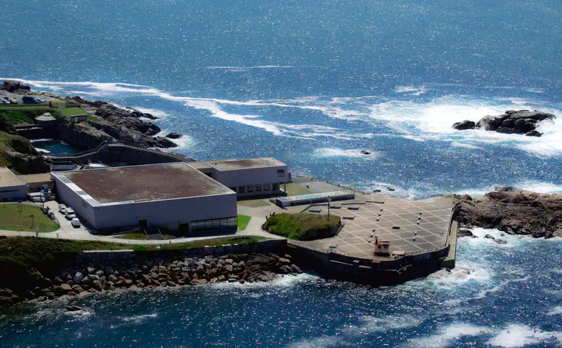 © Andrea Bortolotti