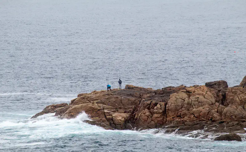 © Andrea Bortolotti