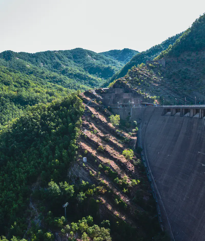 © Andrea Bortolotti