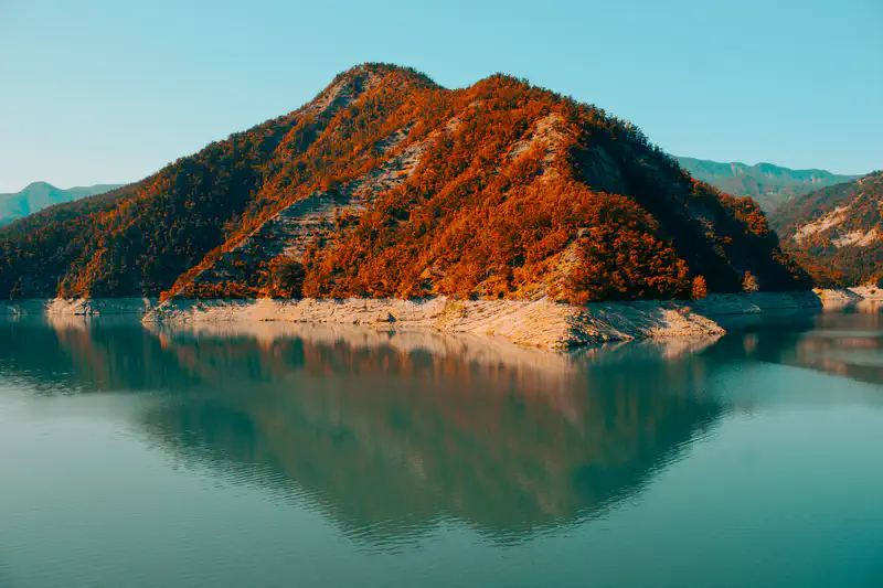 © Andrea Bortolotti