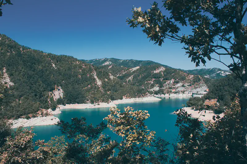 © Andrea Bortolotti