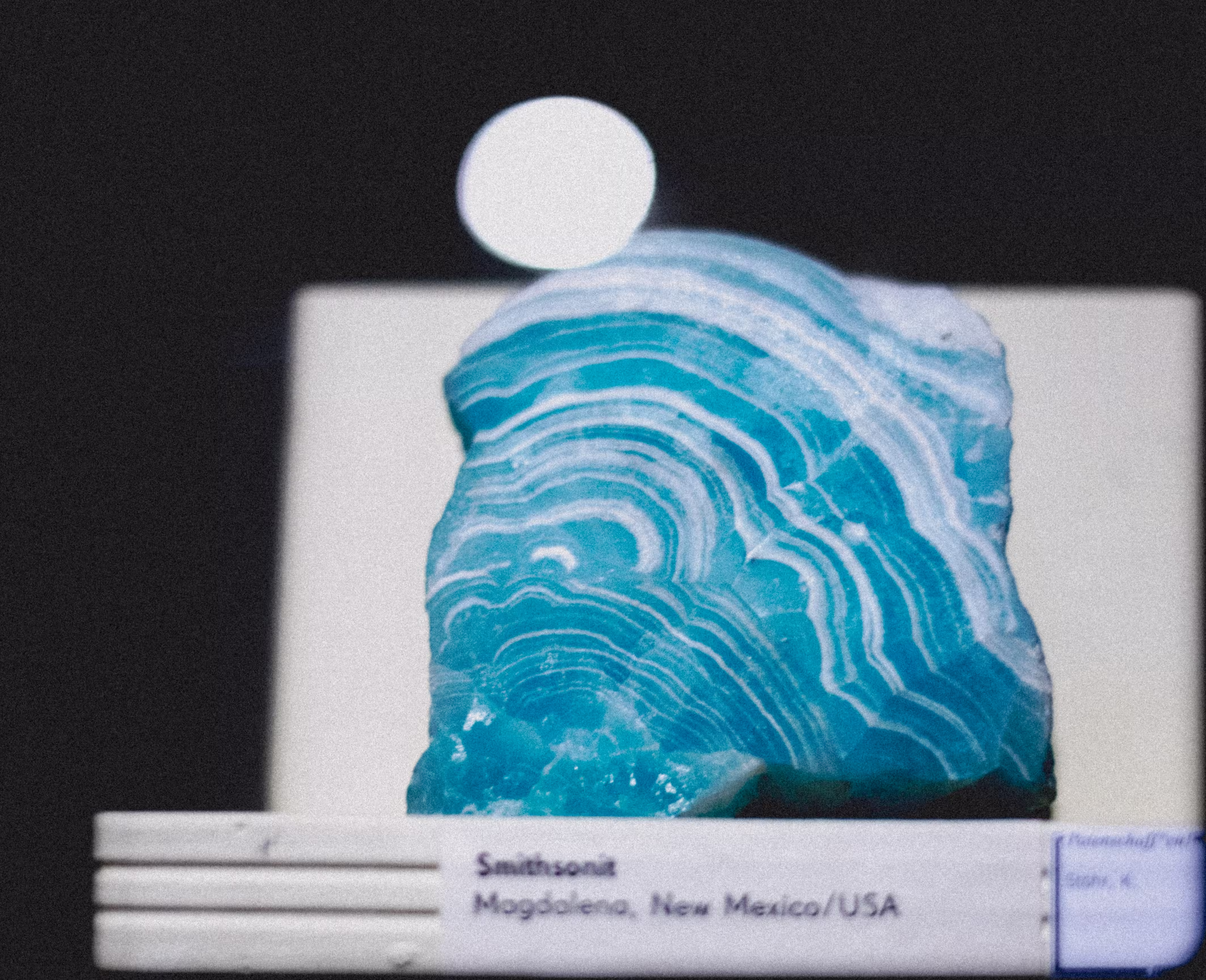 Immagine di benvenuto?